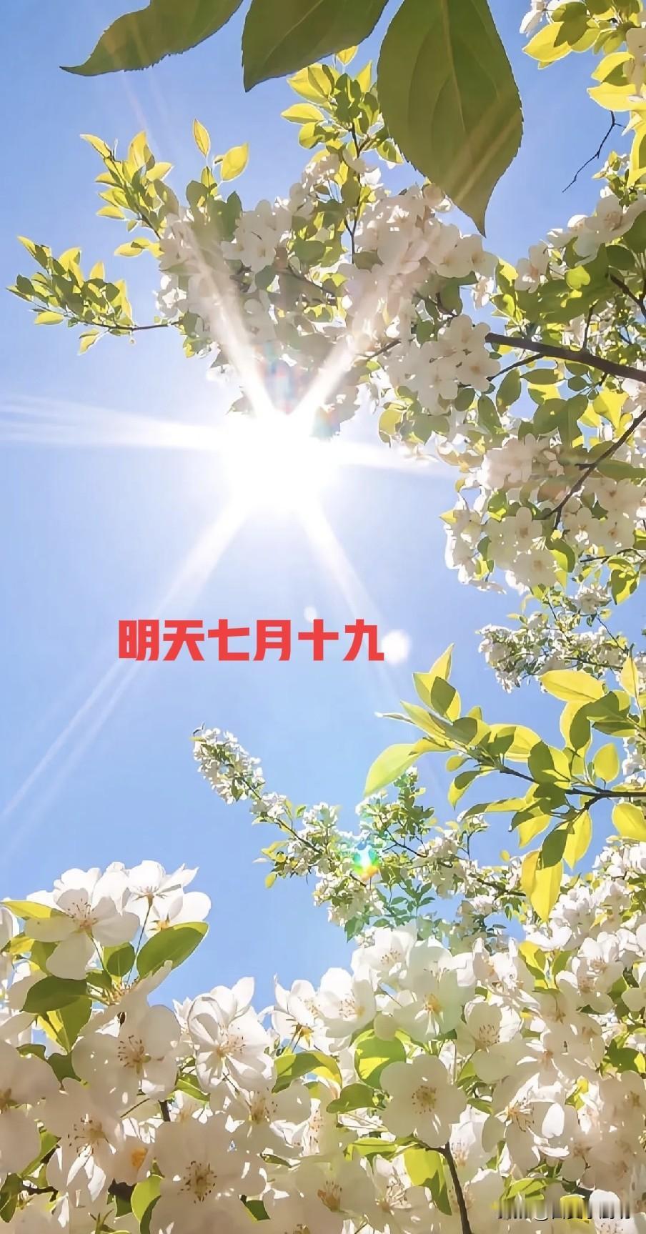 明日七月十九是“执日”，牢记7个忌讳不要犯，老传统不能忘
 
2026马年农历七
