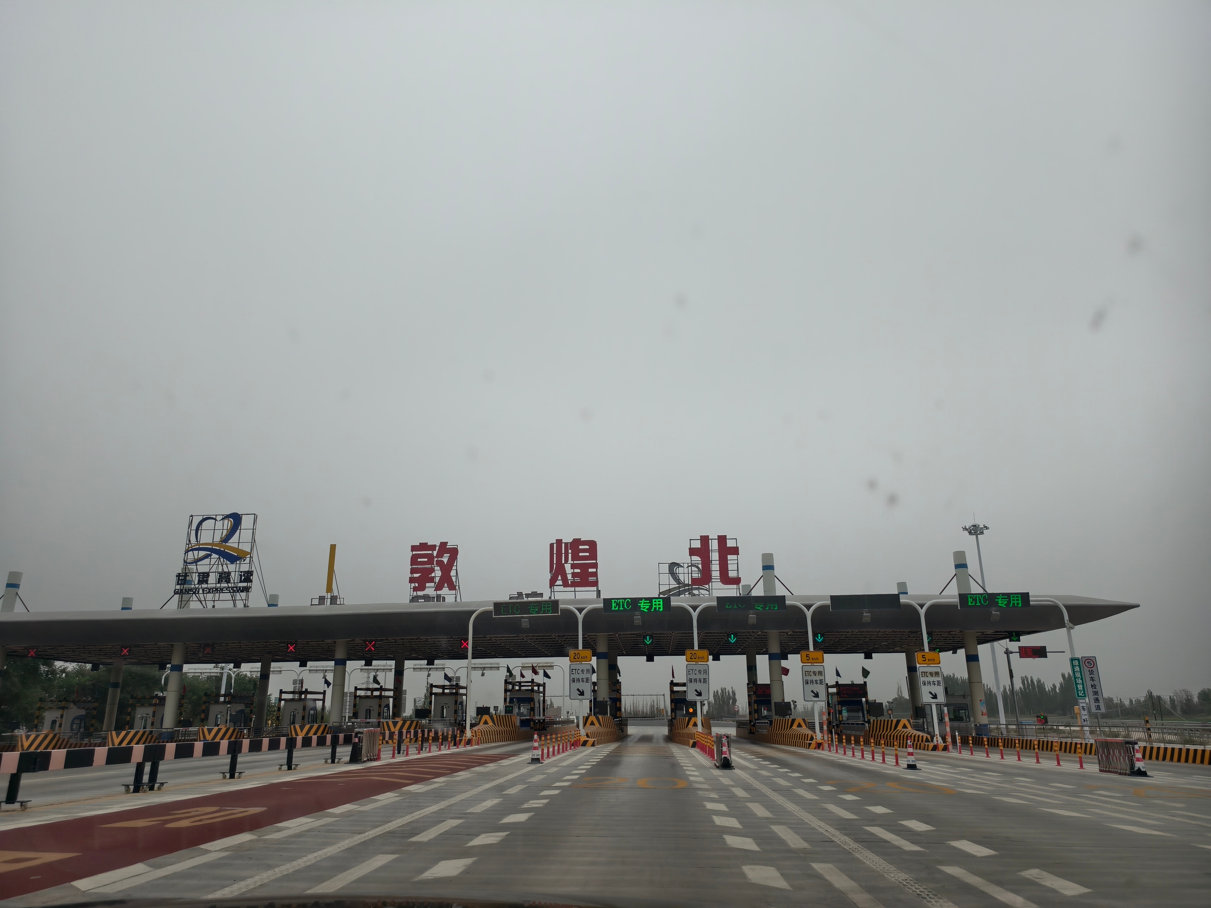 去看看胡杨林吧
