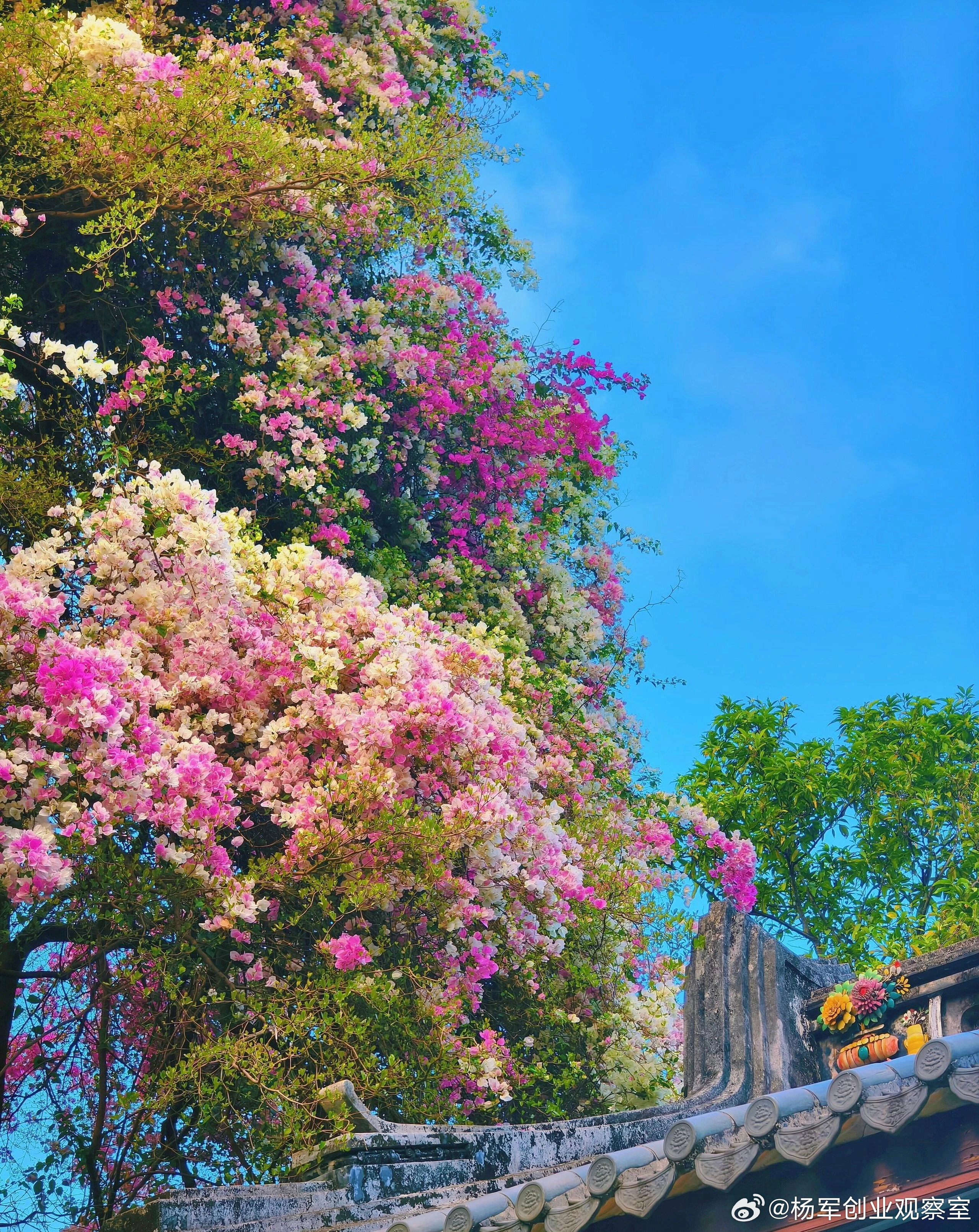 决策推演，让你的商业模式从“纸上谈兵”到“落地生金”它能提前规避风险、锁定价值。