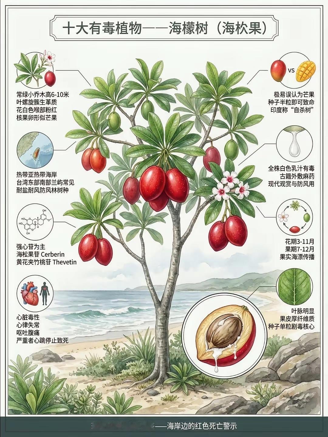 五一过后，哪些事项会严罚扣分？开车。

五一后（5月1日起）全国刚性严查+记分升