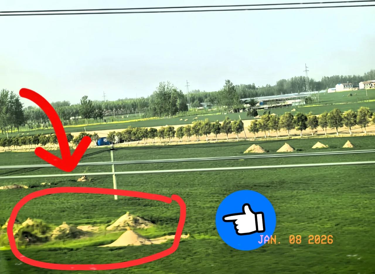 看到2026年3月那个殡葬新规，我是真没想通。说是以后人走了全得深埋，地表还得接