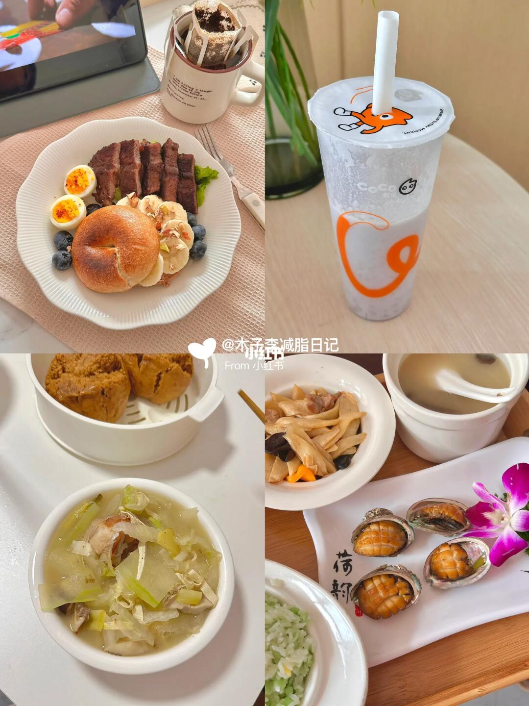 减肥、少吃真的会瘦