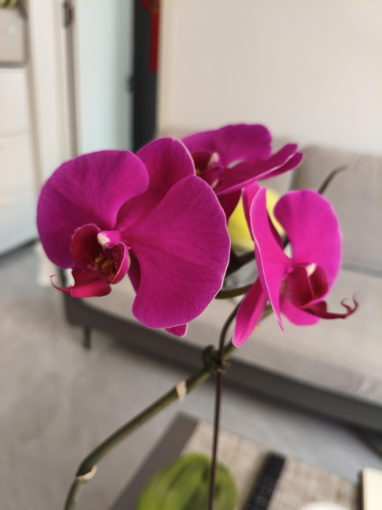 我才发现，人岁数大了，连快乐都变得简单了！就拿我来说吧，早晨打死一个住家蚊子，成