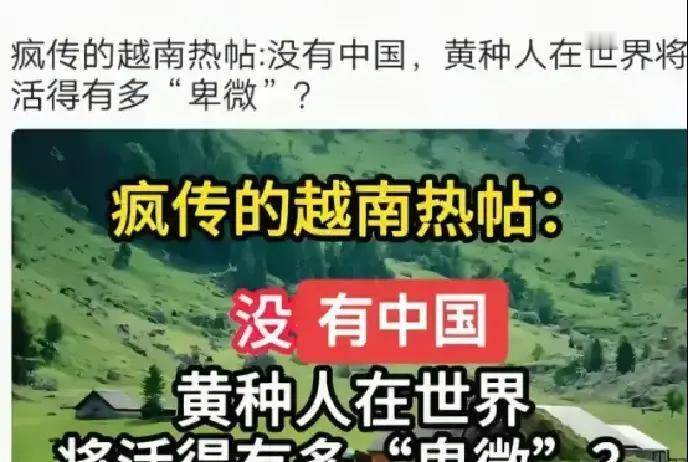 一越南网友说，本来以为对高市的错误言论，只是会引起中国国内网友的激烈反应，恨不得