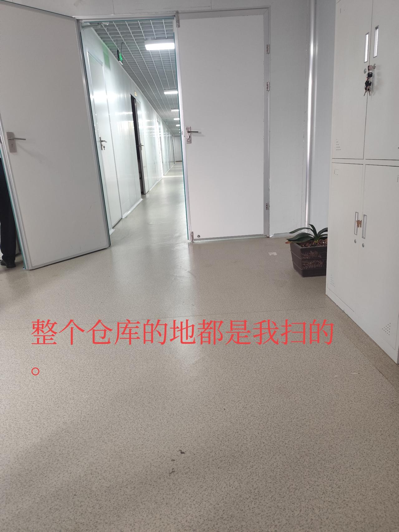 持证会计应聘财务岗，却被安排搬货打扫，最终遭辞退，理由竟是“不适合质检员”。
郑