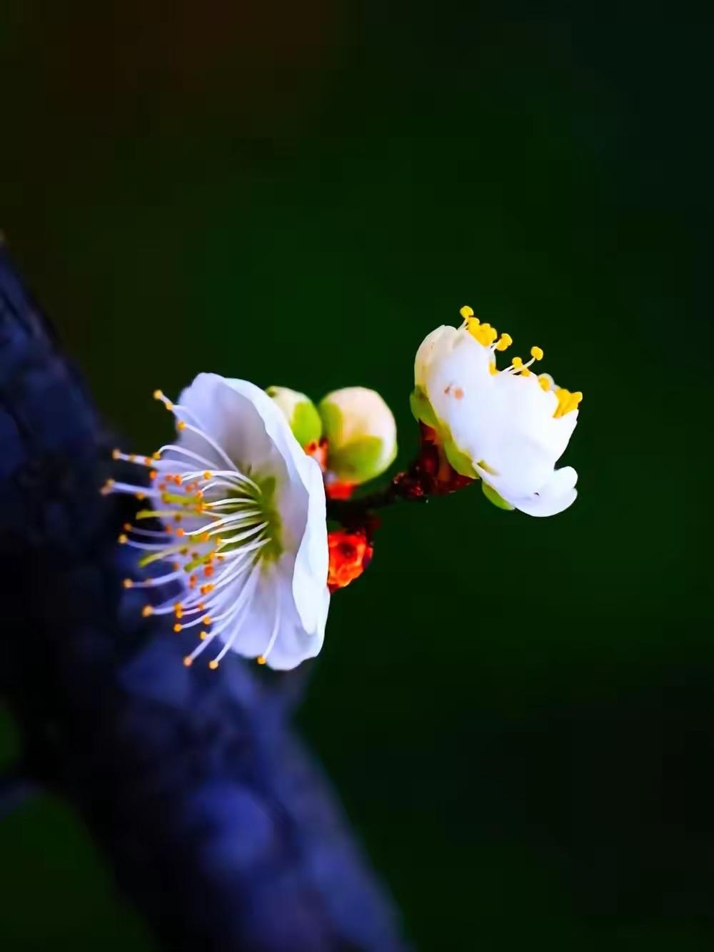 小姑子想去学车，却想让老公给她交报名费，3000多，虽然只是我们家一个月的生活费