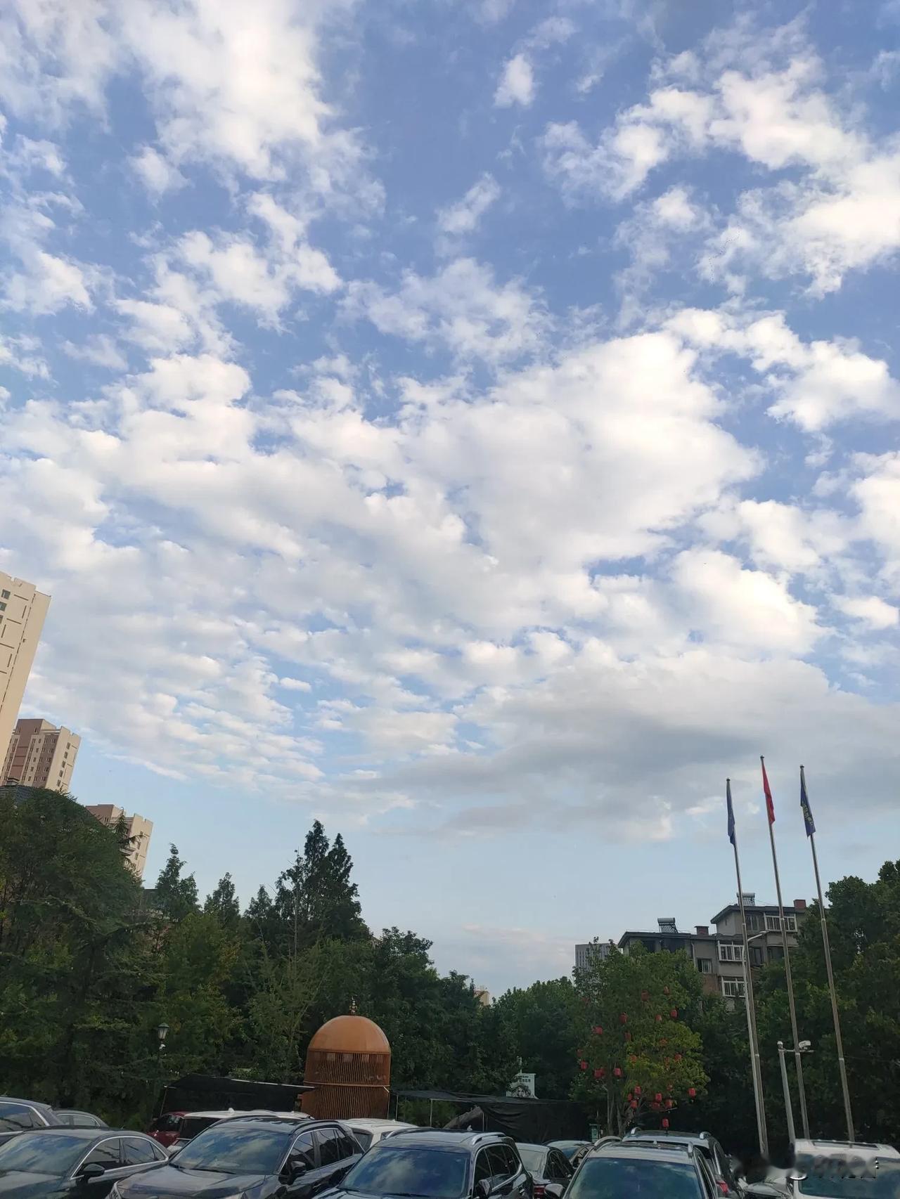 秋天你好呀，终于等到你啦，今日立秋，立马感觉到温度就没有那么高了，此刻中午25度