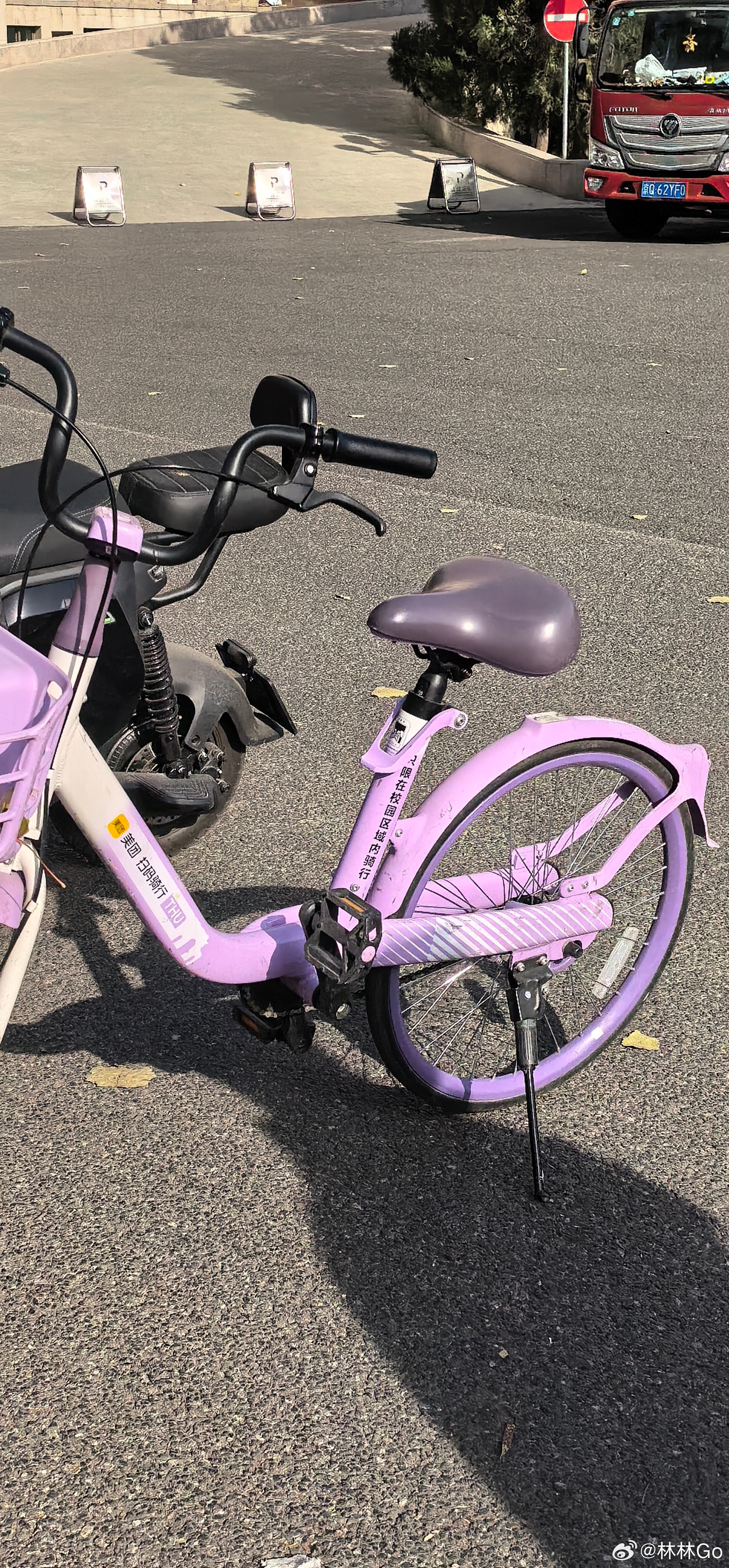 今天趁着去清华美院看展览，跟朋友一起又故地重游了一下校园。朋友说紫色的校园专属小