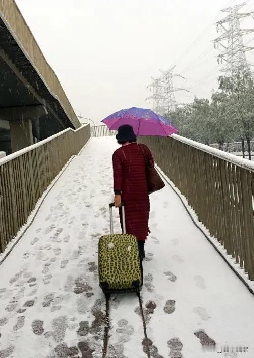 晒一下你相册里的雪景照片吧
