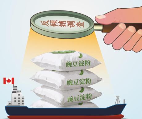 加拿大低价倾销豌豆淀粉坑惨国内厂家！商务部重拳出手收73.5%保证金！这下国产淀