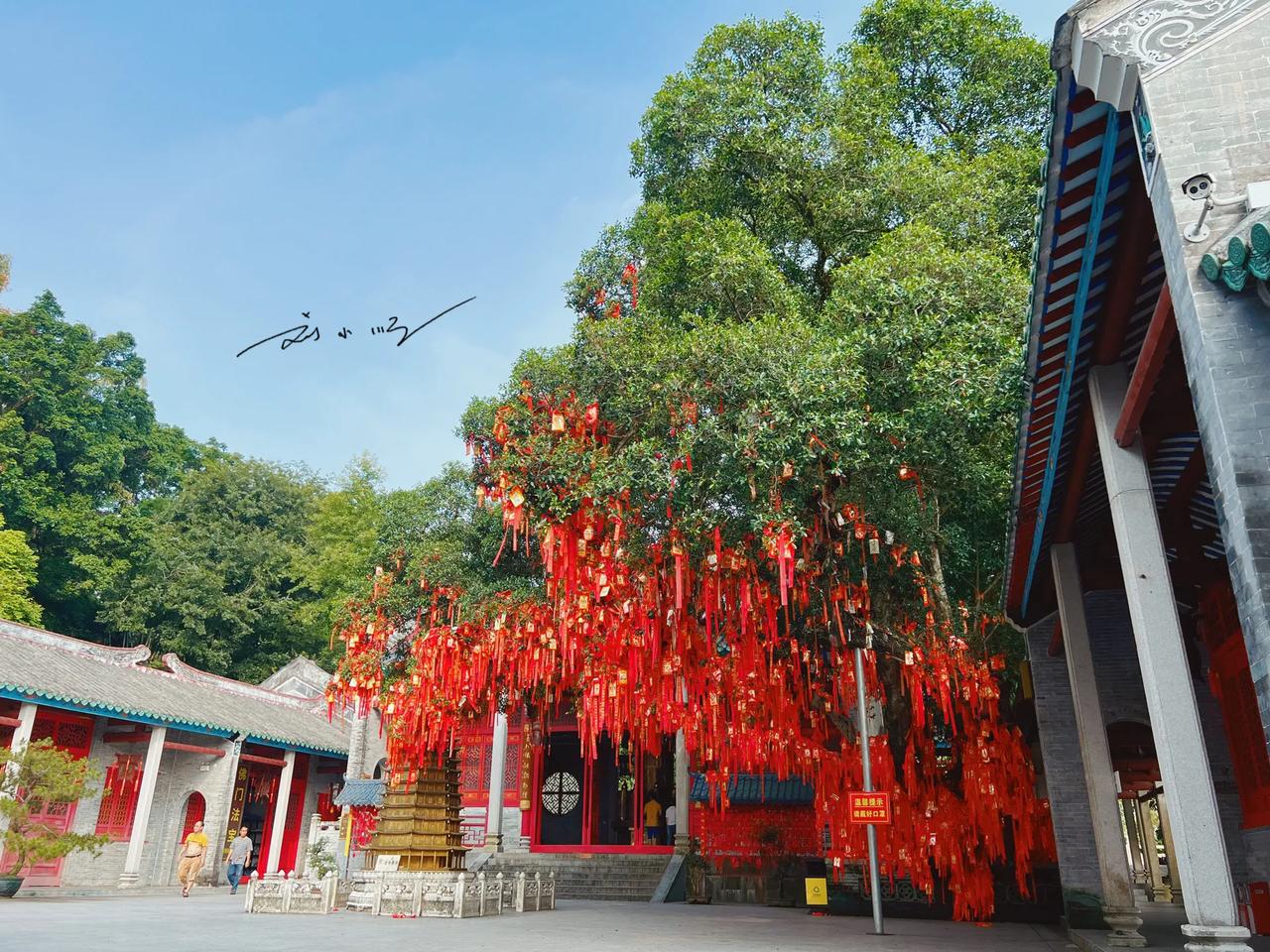 中国第一座以“国”命名的寺庙，就在广东云浮，香火很旺，你来过吗？

最近，我来到