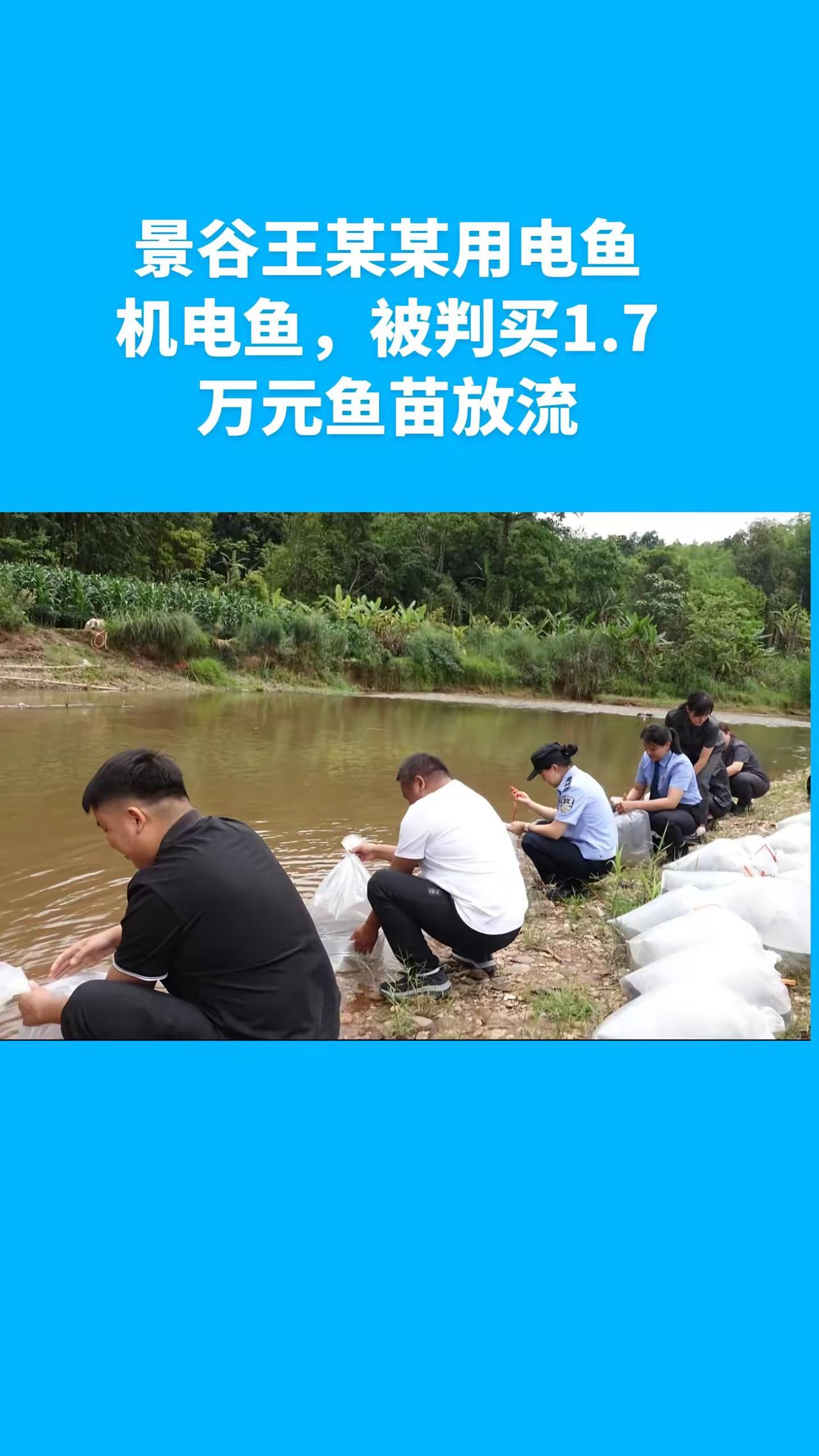 景谷王某某用电鱼机电鱼，被判买1.7万元鱼苗放流