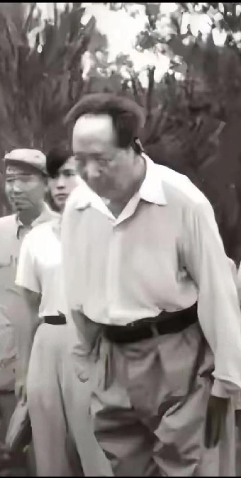 1959年，一位老人孤零零地站在韶山冲那片熟悉的竹林边，伸出手轻轻拂过父母坟头新