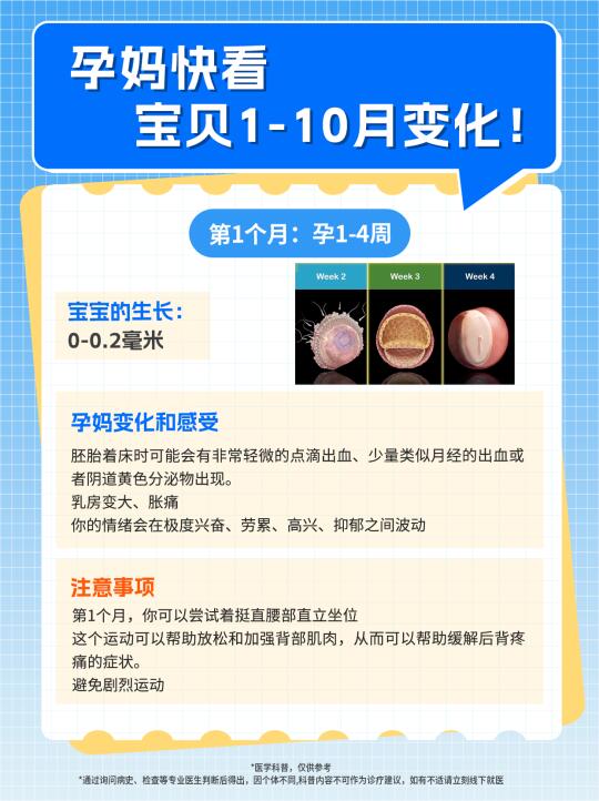孕妈快看， 宝贝1-10月的变化