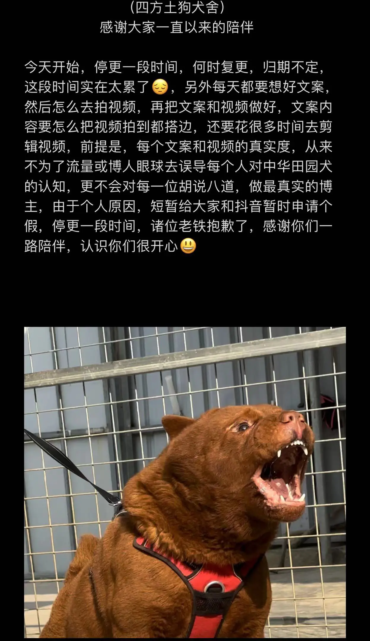 何时复更，归期不定