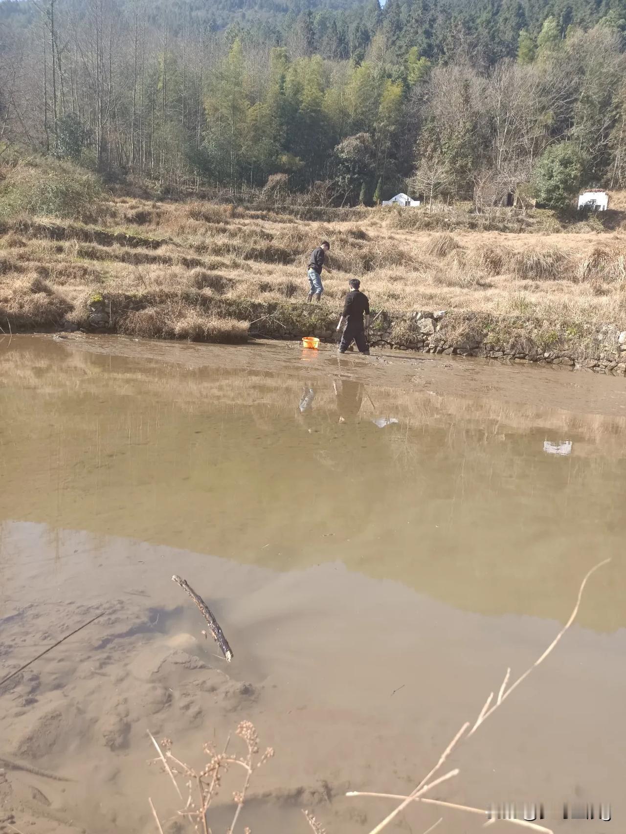 回乡下过年了，每年大哥在家养了一些魚，过年自己吃的，体会一下儿时捉鱼的乐趣，