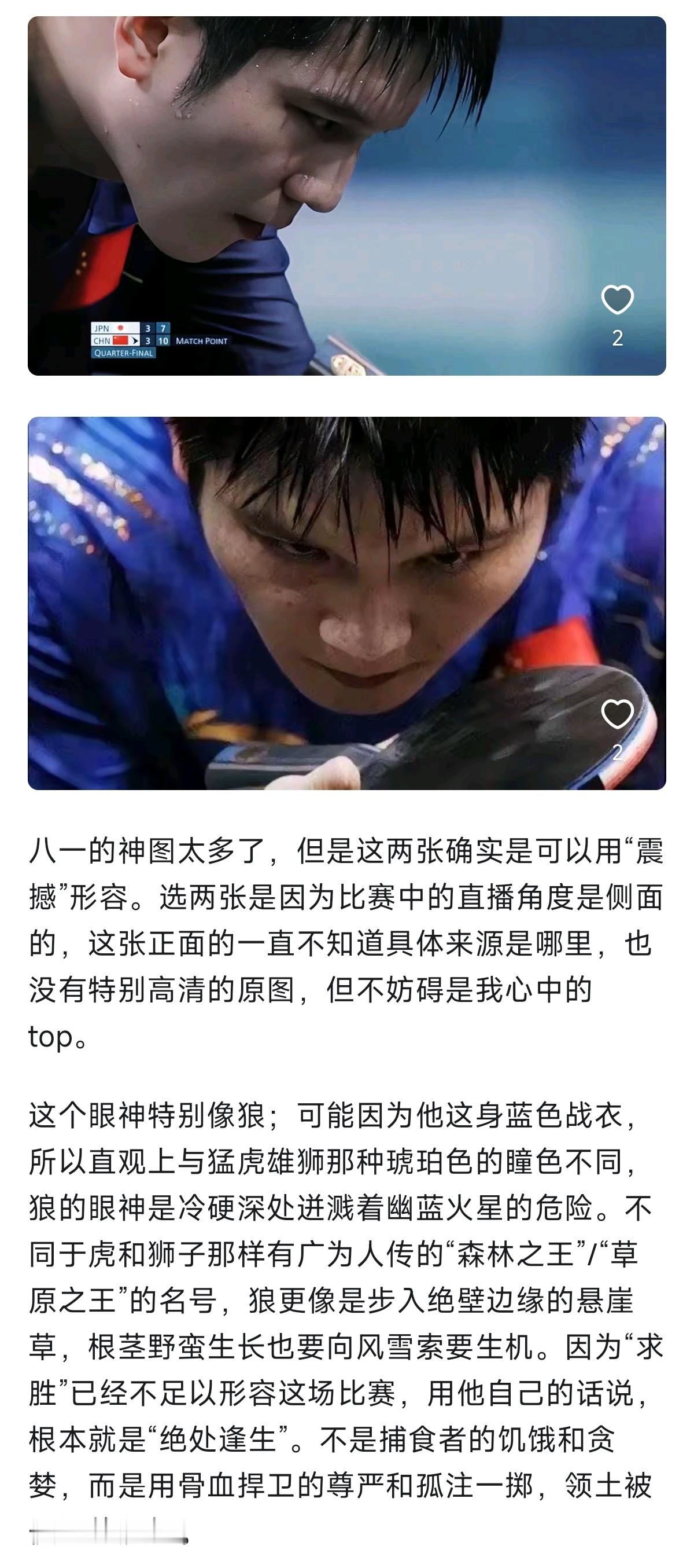 温润如玉只是世界对他的片面误读，他真正的内核是永不钝化的猛兽之心。 