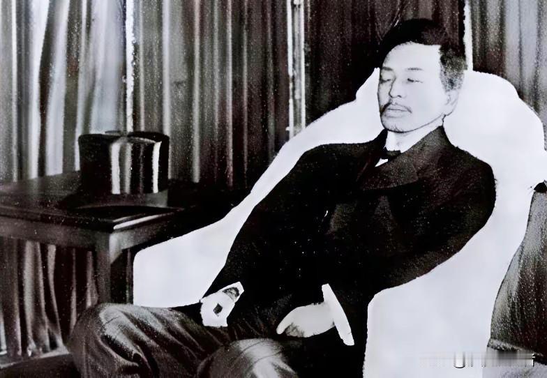 1913年，宋教仁在上海火车站被刺杀，生命垂危，在医院他对于右任说：我很痛，估计