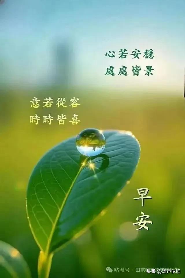 《行香子·朝夕寄福》

岁月无声，暖意深藏。
每朝来、寄语如常。
心藏牵挂，字载