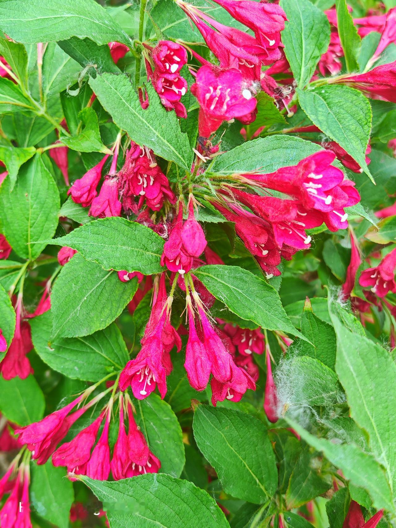 北运河岸边风景确实优美，不同时节都有独特景致。雨水节气时，通州运河畔春意萌动。微