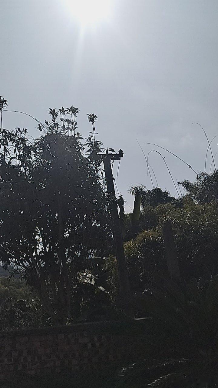 暖阳裹着微风，温度刚刚好，是让人心情变好的好天气✨ 