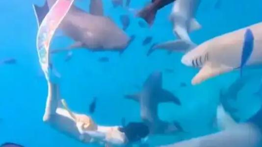 女子在生理期潜水被鲨鱼咬伤后，竟然向朋友“炫耀”，并且对朋友的劝告置之不理，甚至