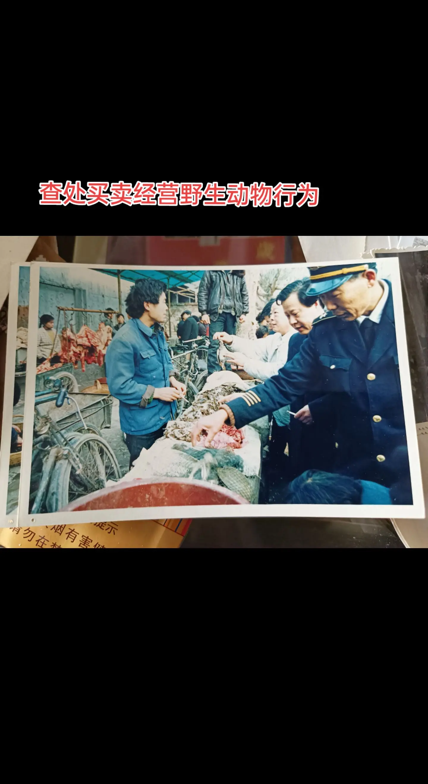 保护野生动物