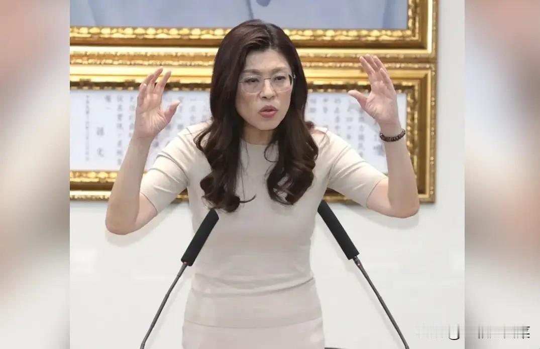 摊牌了！就在5月15日，郑丽文与赵少康隔空爆发激烈争吵，照这种势头发展下去，其中