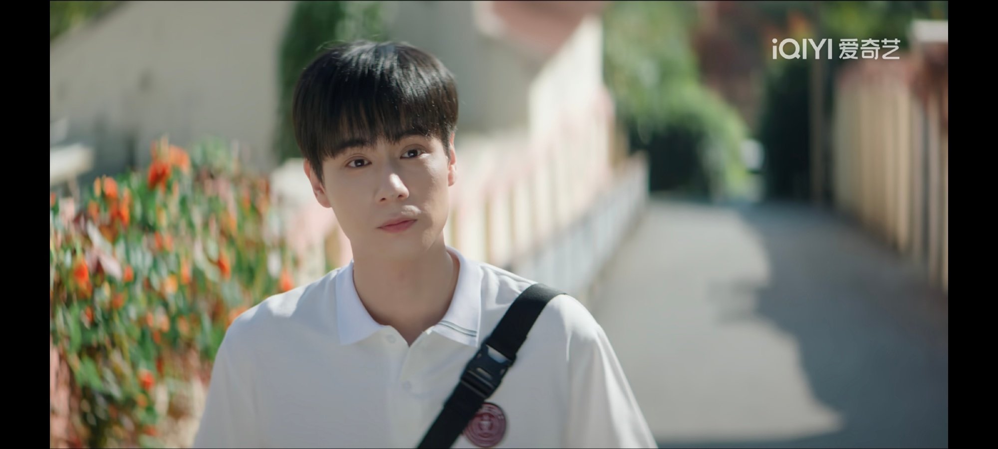 请把现偶还给少男少女 