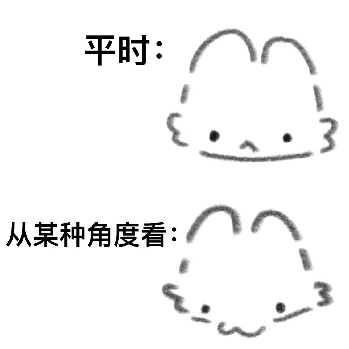 分享新鲜事 