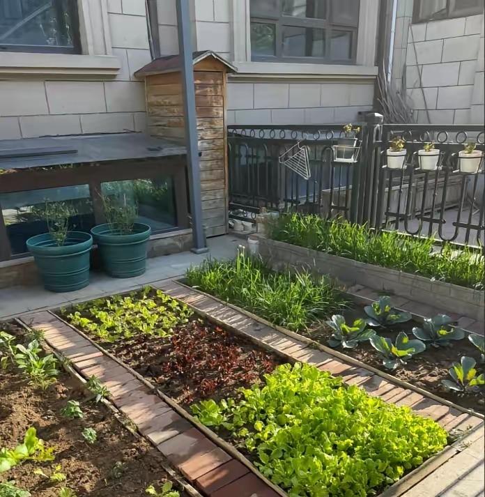 梅婷在北京那套近亿的别墅里，最金贵的不是装修，是公婆打理的400平菜园，一年能出