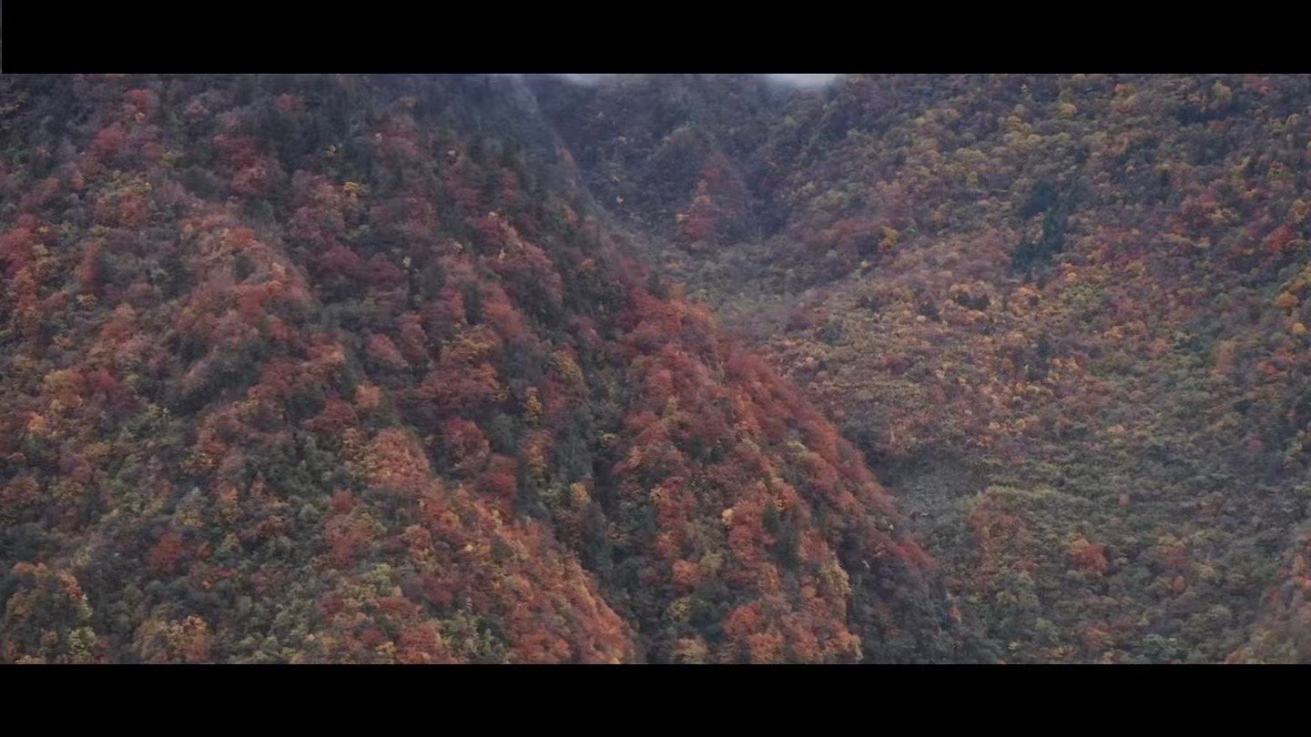 白马民歌抢救记录者在四川拍摄24年电影白马姐妹 24年坚守铸就文化奇迹！《白马姐