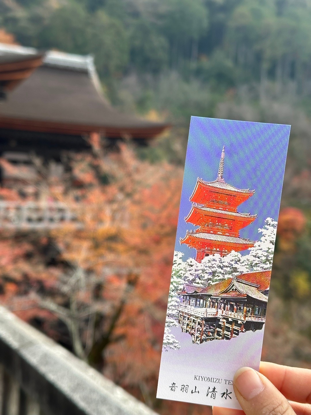 PLOG.112 [微风]盐盐的日常8天7晚的旅行结束啦！一个人又解锁了新地方，