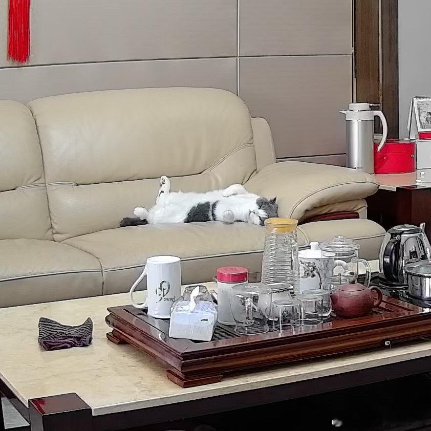 圆圆这是怎么睡啊？ 