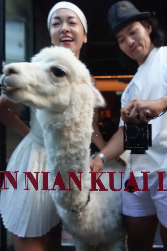 网球人被萌宠治愈的午后ฅ՞•ﻌ•՞ฅ