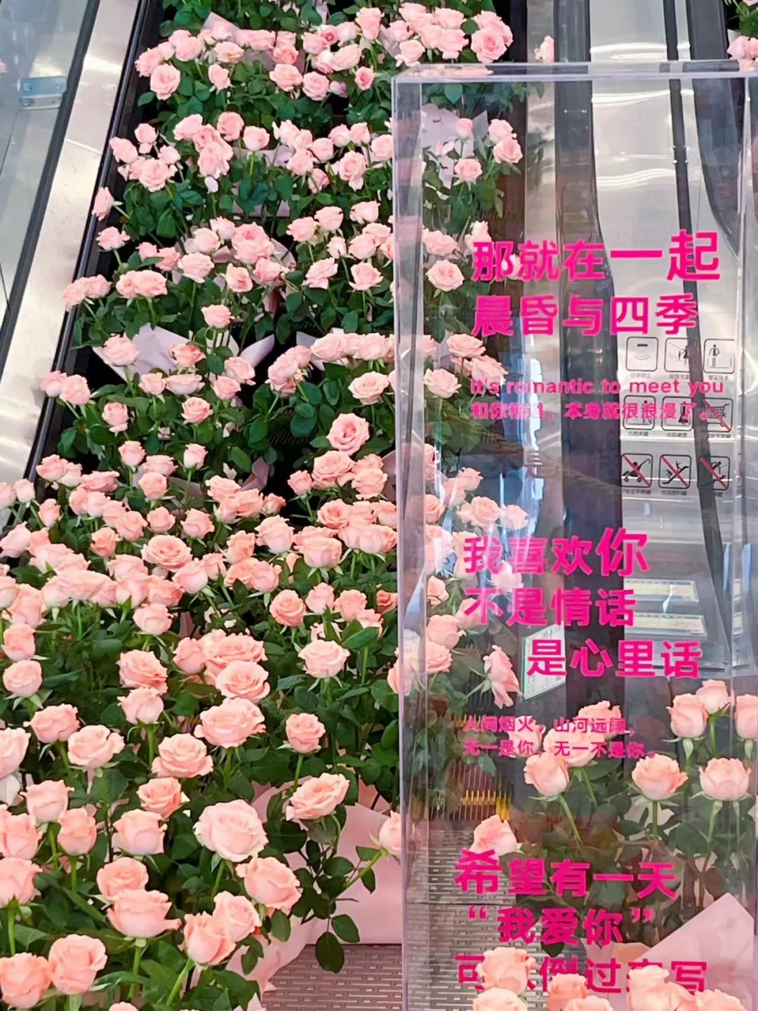 太原的浪漫🫧粉色玫瑰瀑布💕吾悦你懂大家‼️