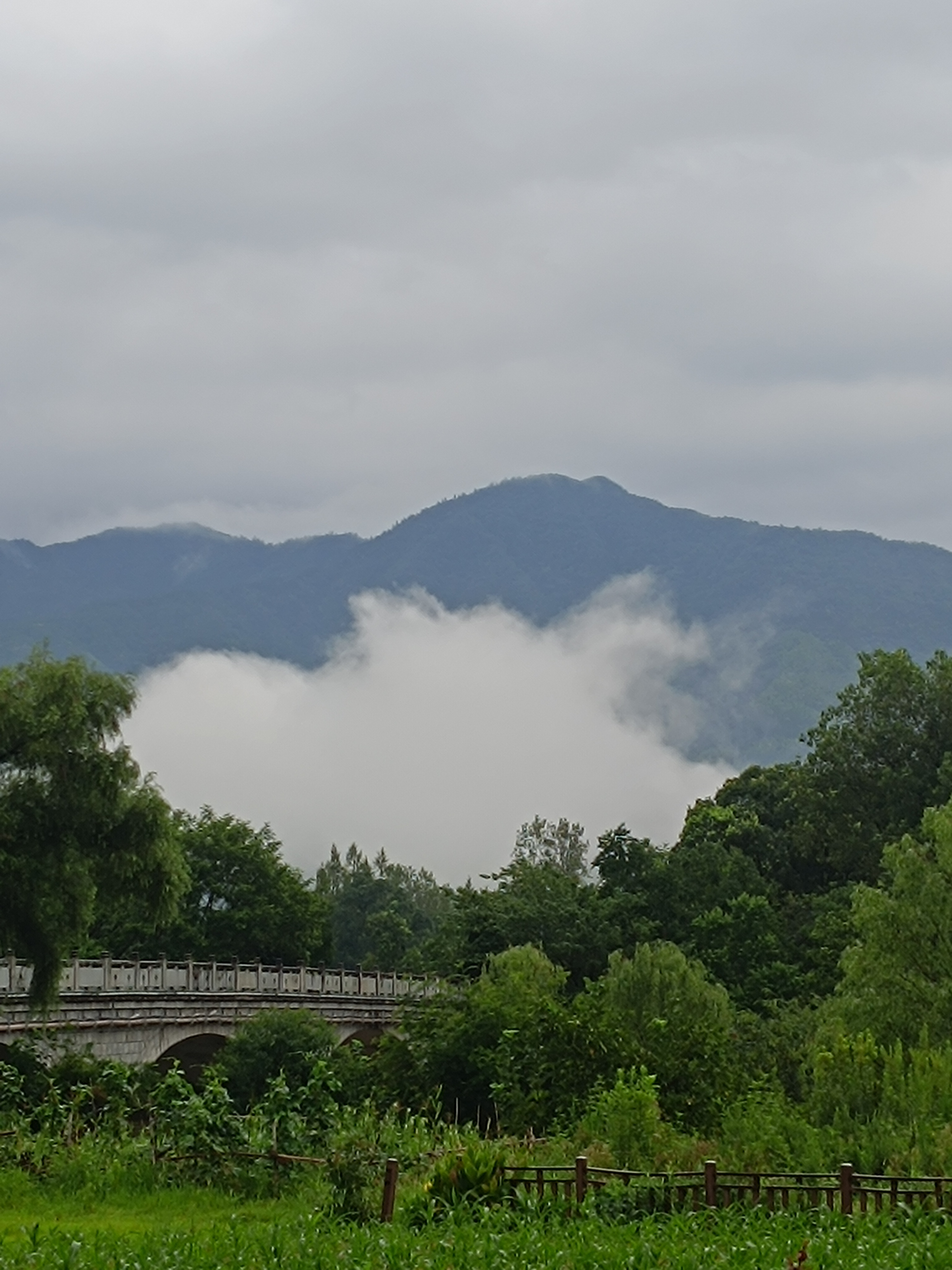 黄山，早晚会爬的！ 
