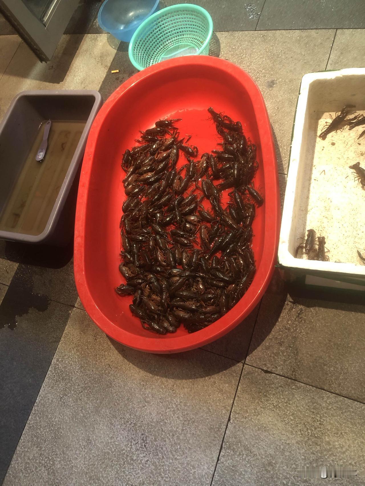 晒图笔记大赛吃龙虾的季节到了，鲜活的小龙虾看着就馋，红彤彤的出锅更是香气直冒，这