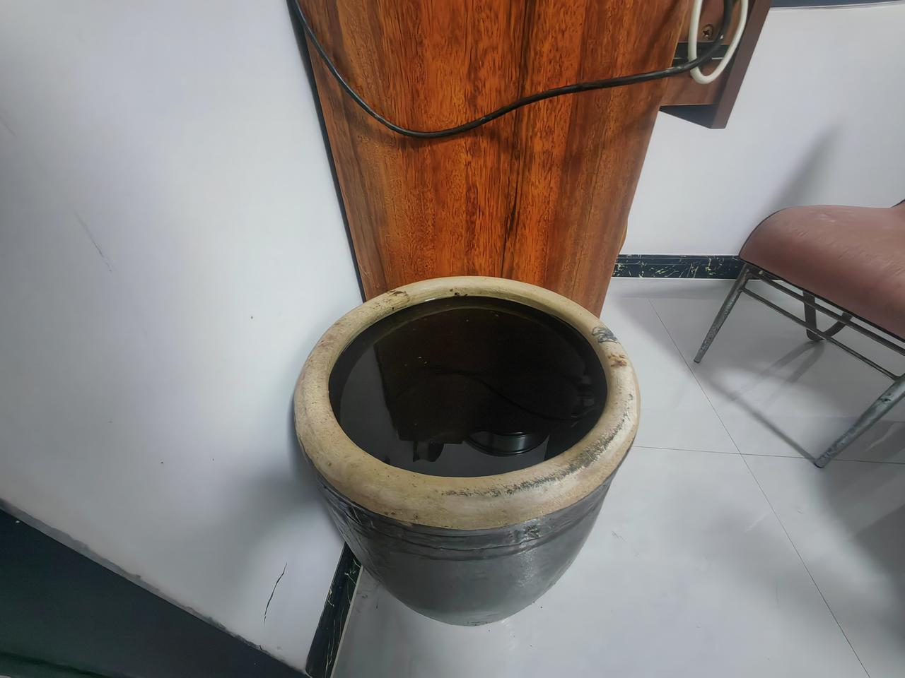 想不到传家宝今天有了大用处。
今天早晨村干部在群里通知，今明两天停水，让人们储备