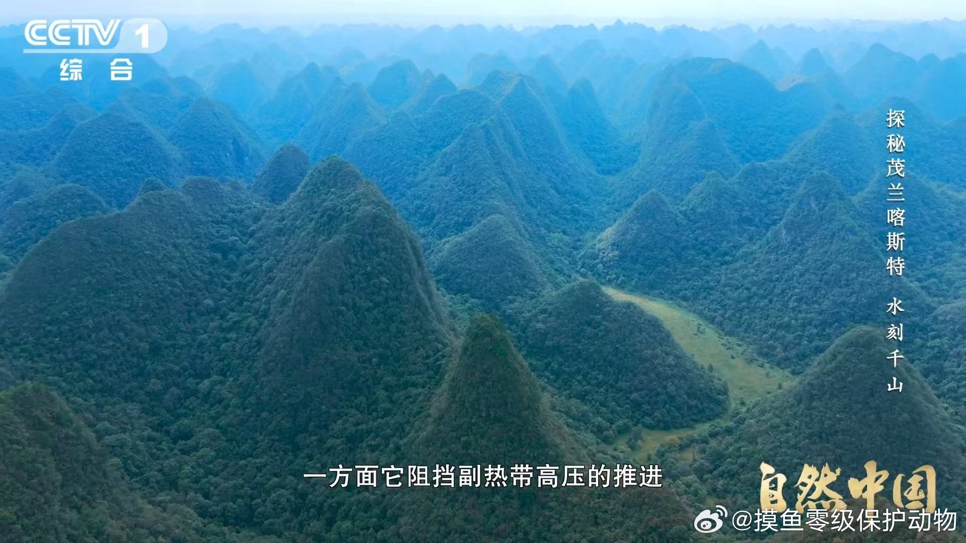 原来贵州曾是大海贵州山顶发现亿万年前珊瑚化石山在，海在，在石头里。贵州山顶的珊瑚
