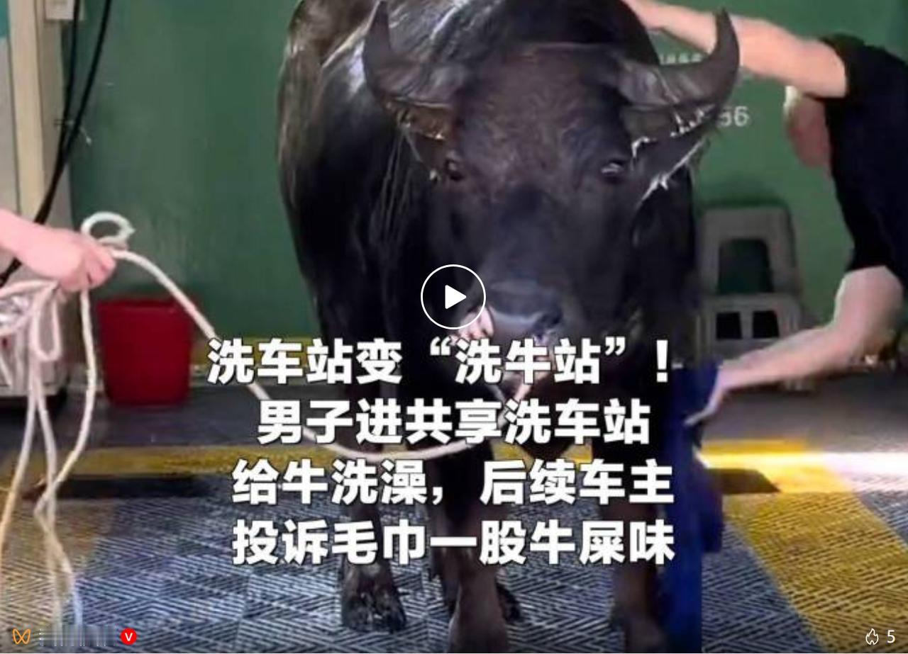 7 月 19 日，四川南充西充县一处共享自助洗车站的监控视频在网上传开，一名农户