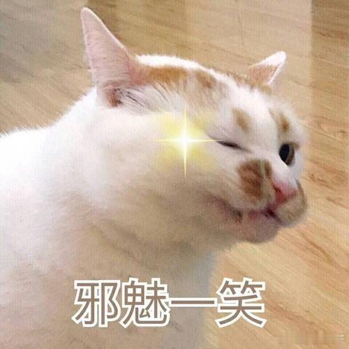 鱼子酱为啥要放虎口上吃没想到还有这样的美食科普，怪不得看一些影视作品大家都在虎口