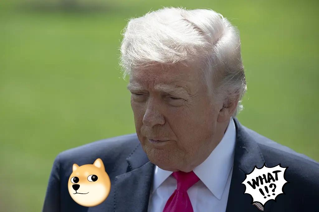 综合路透社和美国新闻记者凯莉·迈耶17日透露的消息，当地时间17日，美国总统特朗