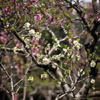 我的今日状态：😁轻松愉快
我这里的天气：☀️晴天