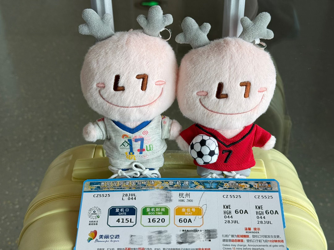 再见了没有鹿晗的城市（这个登机牌好丑） 贵阳·贵阳龙洞堡国际机场