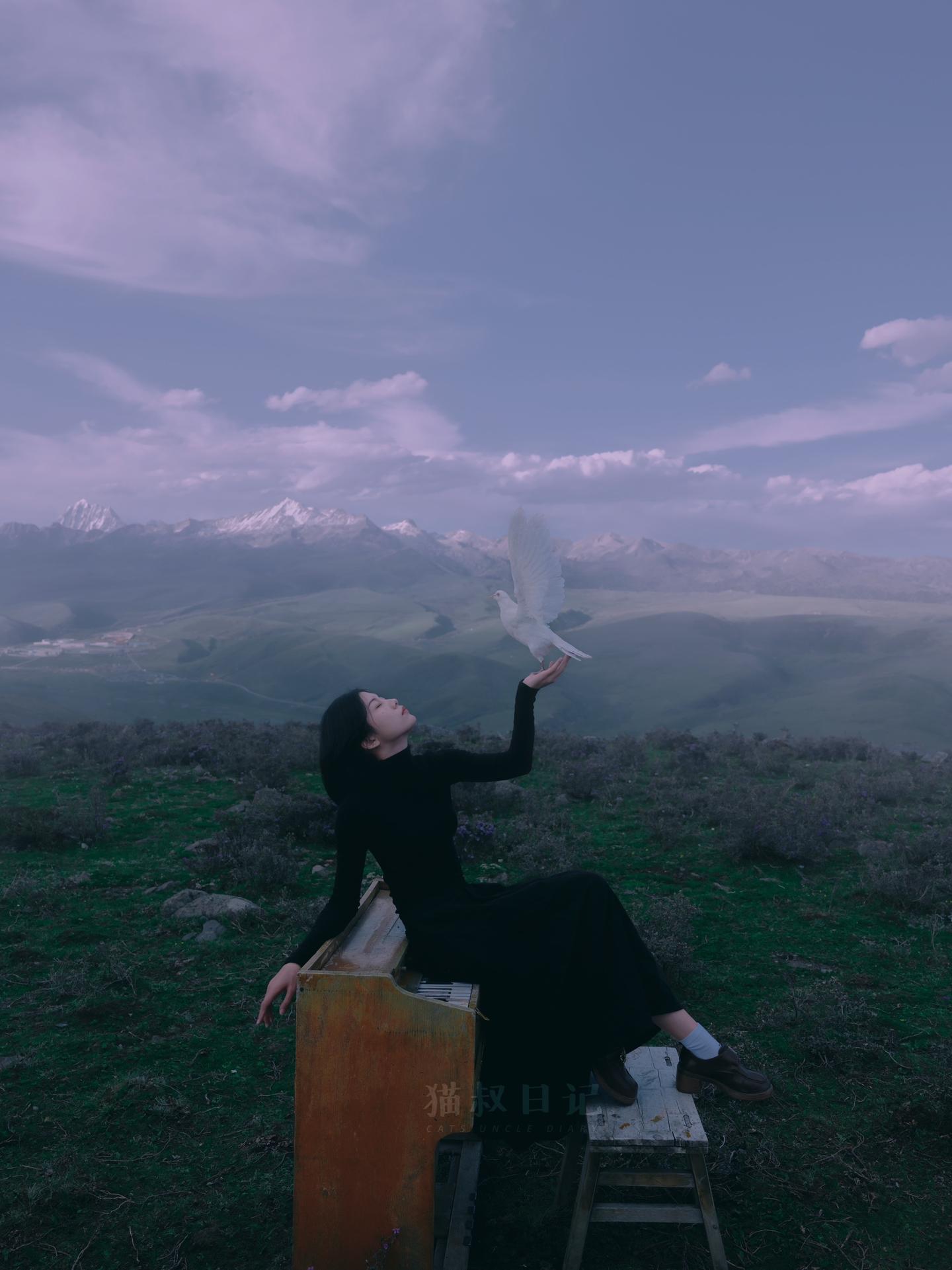 你当像鸟，飞往你的山。