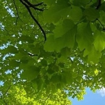 阳光信用阳光信用 每日一善努力去做一个温暖的人,用真心对世界微笑,用眼泪提醒自己