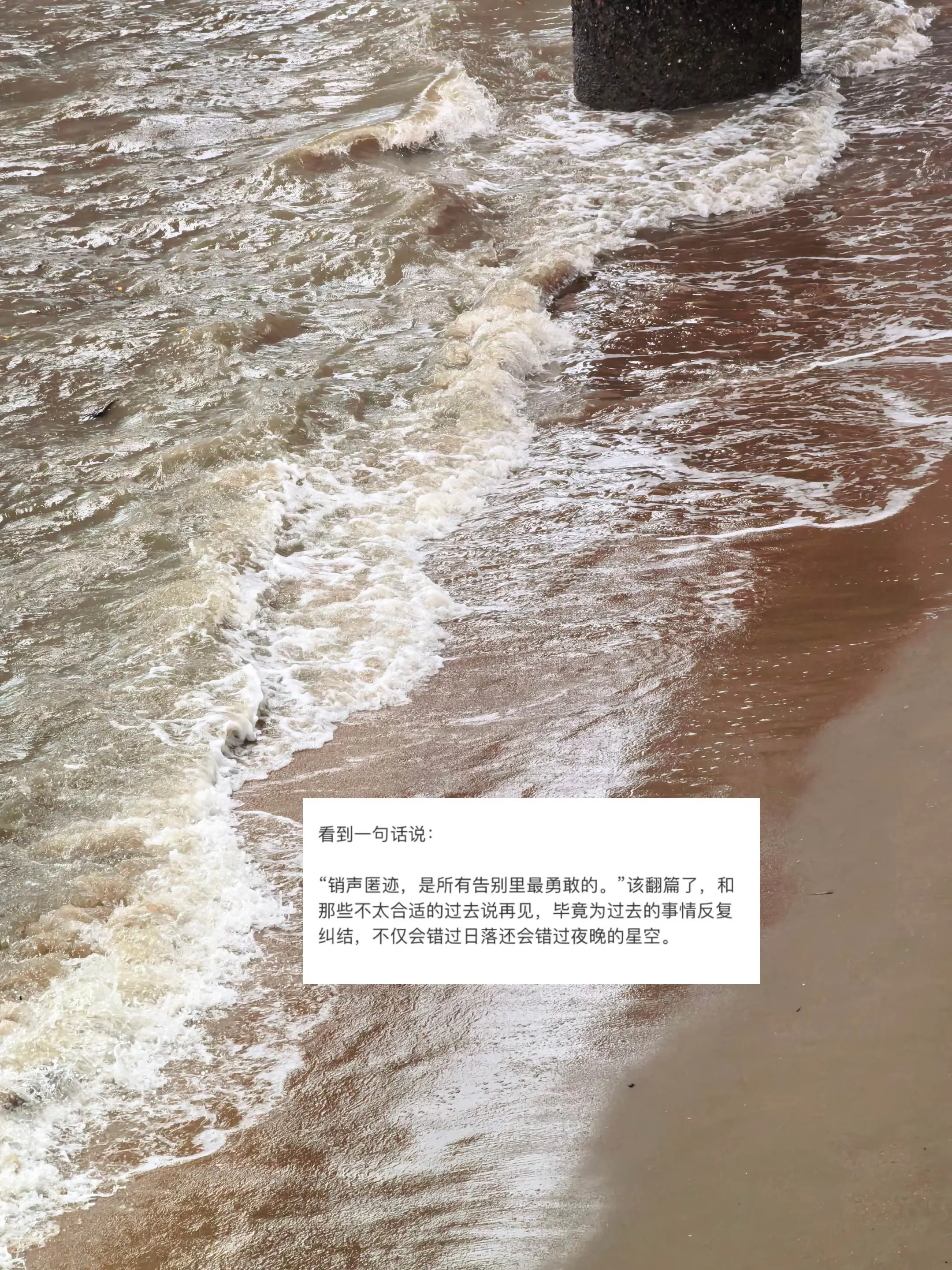 销声匿迹，是所有告别里最勇敢的。“销声匿迹，是所有告别里最勇敢的。”该...