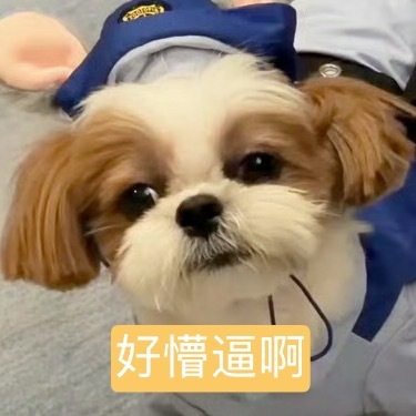 工作室您？ 