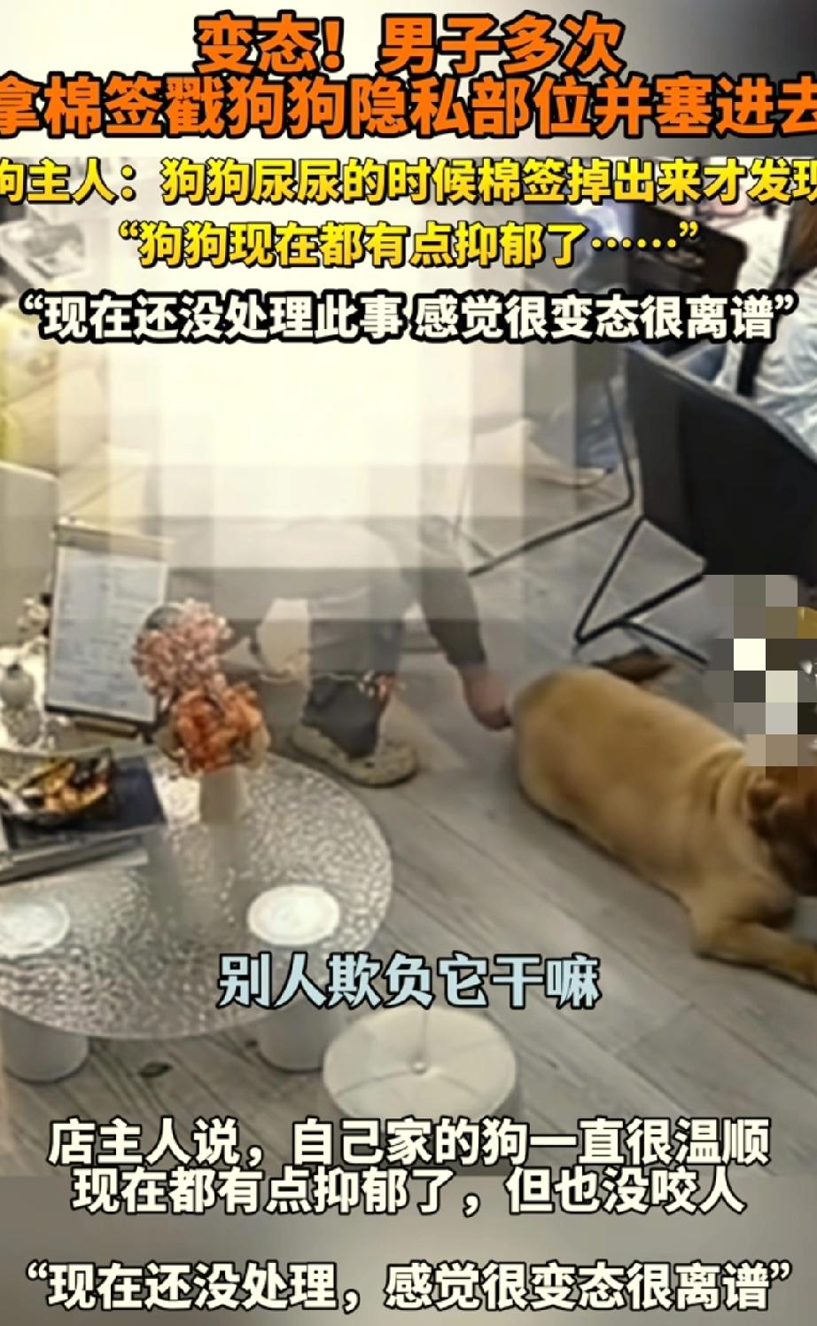 离谱！
河南南阳一男子对狗狗的作为让人大跌眼镜。
事情起因是美甲店老板发现自家狗